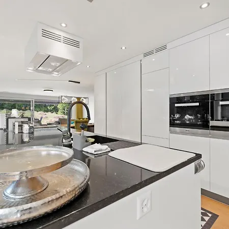 Exclusive Spacious Apt. With Garden In Zürih