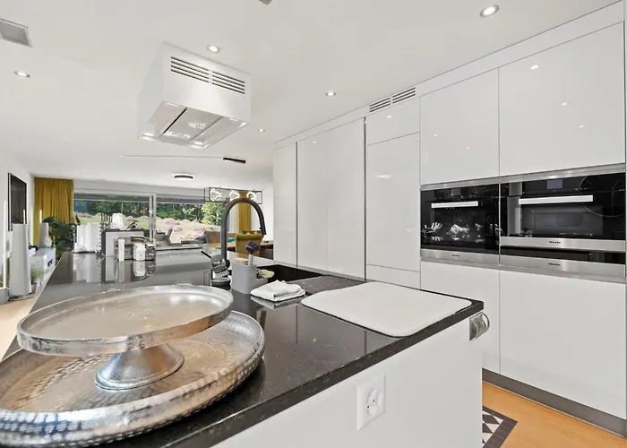 Exclusive Spacious Apt. With Garden In Zürich