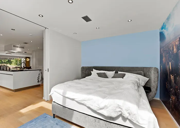 Exclusive Spacious Apt. With Garden In * 苏黎世